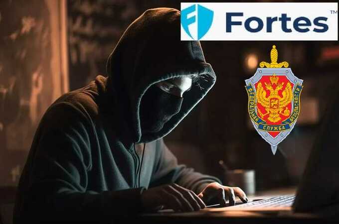 Fortes.pro:    DDoS-   