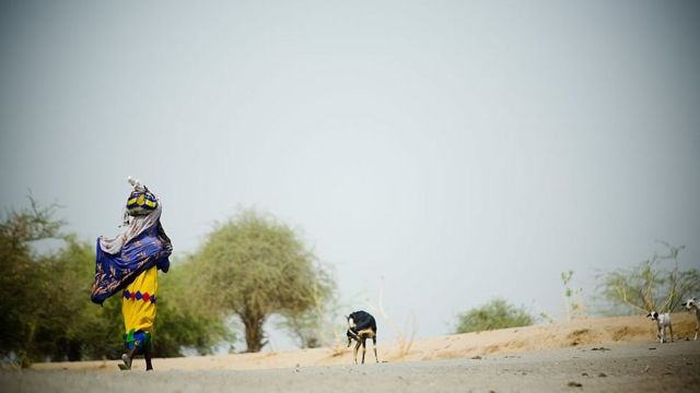 A woman walks near the diminishing waters of Lake Chad in 2007 uqiquqiqheikatf