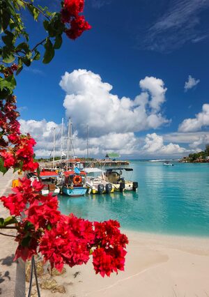 A beach with boats at the Sychelles